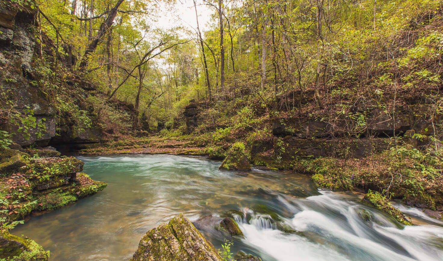 A river running through the middle of a forest.